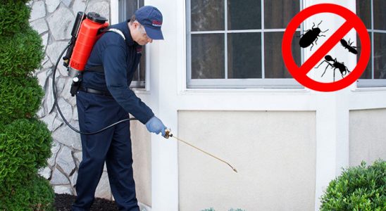 Yusufeli Böcek ve Haşere İlaçlama böcek ilaçlama ve haşere kontrolü — ilaclama-tr.com